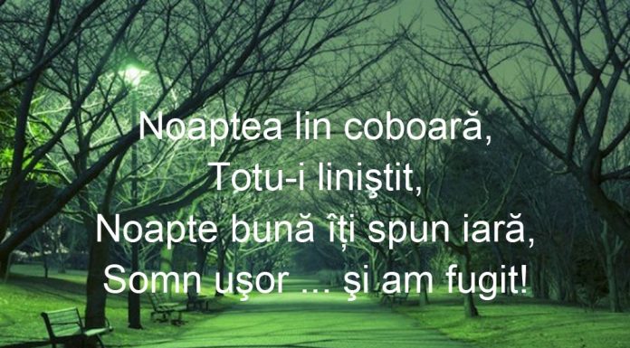 Mesaje de noapte buna suflet drag: Cum sa scrii un mesaj de noapte buna?