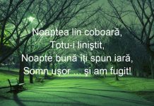 Ce sa scrii intr-un mesaj de noapte buna pentru iubit? Idei de mesaje