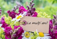 Care sunt cele mai incantatoare mesaje de la multi ani?