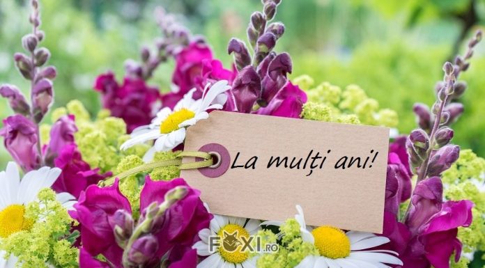 Care sunt cele mai incantatoare mesaje de la multi ani?