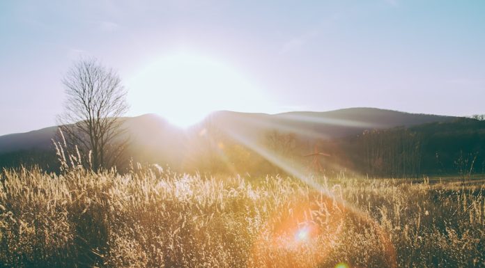 Ce mesaje romantice de buna dimineata pentru iubit sa trimiti?