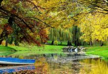 Top parcuri din Romania de vizitat neaparat