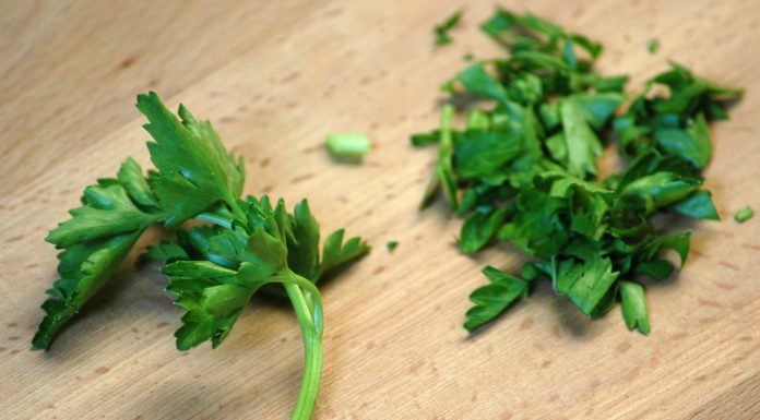 Care sunt beneficiile patrunjelului?