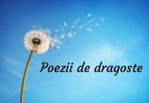 Ce poezie de dragoste sa trimiti iubitei?