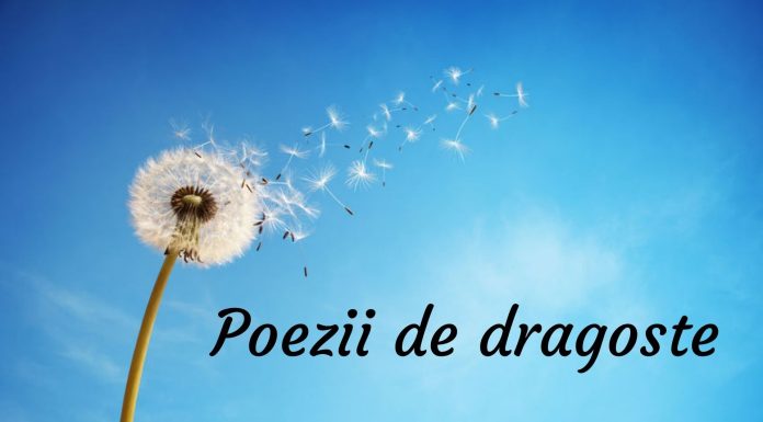 Ce poezie de dragoste sa trimiti iubitei?