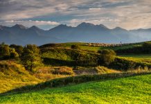 Care sunt cele mai cunoscute poezii despre natura?