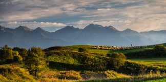 Care sunt cele mai cunoscute poezii despre natura?