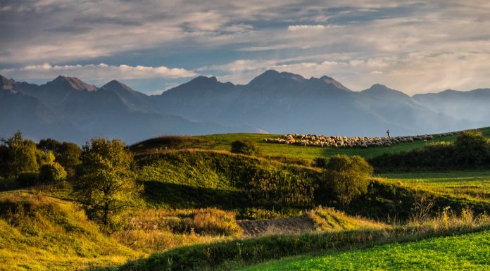 Care sunt cele mai cunoscute poezii despre natura?