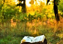 Care sunt cele mai cunoscute poezii despre natura?