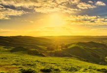 Poze cu buna dimineata: Cele mai noi si frumoase poze