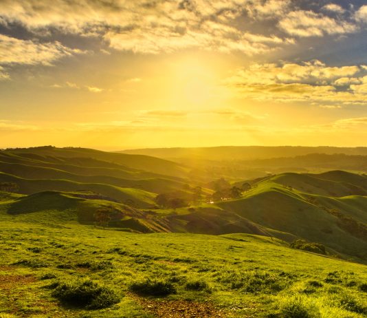 Poze cu buna dimineata: Cele mai noi si frumoase poze