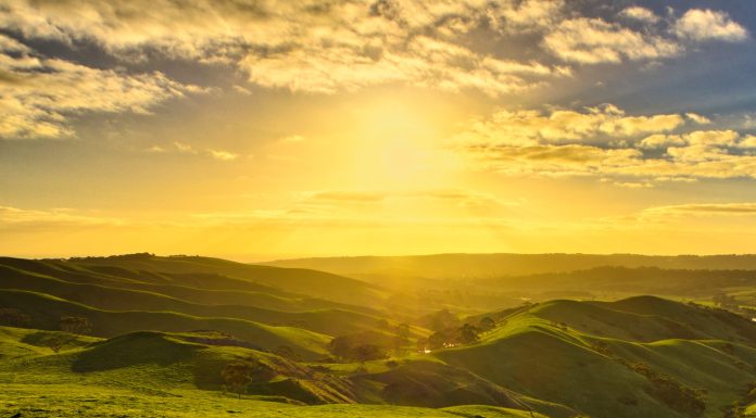 Poze cu buna dimineata: Cele mai noi si frumoase poze