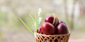 Poze de Paste: Care sunt cele mai misto poze de Paste?