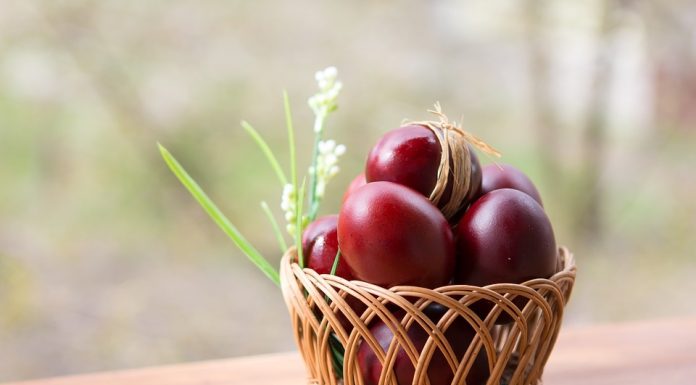 Poze de Paste: Care sunt cele mai misto poze de Paste?