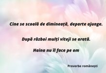 Care proverbe despre munca te motiveaza?