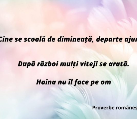Care proverbe despre munca te motiveaza?