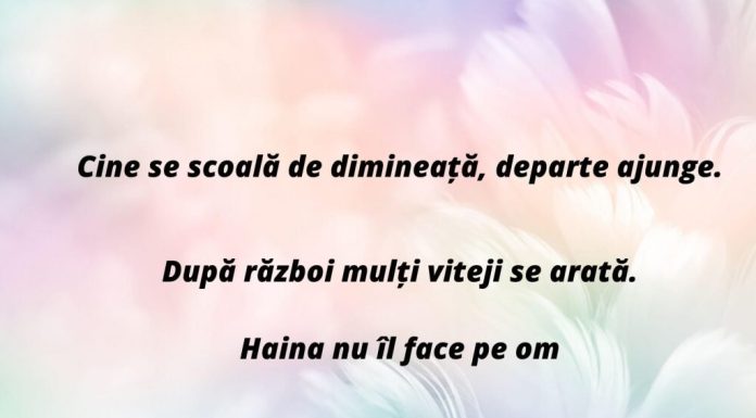 Care proverbe despre munca te motiveaza?
