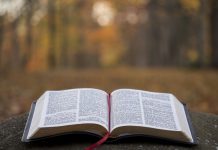 Despre ce este Psalmul 33 din biblie?
