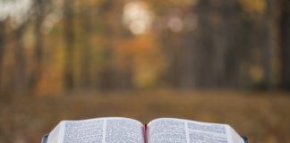 Despre ce este Psalmul 33 din biblie?