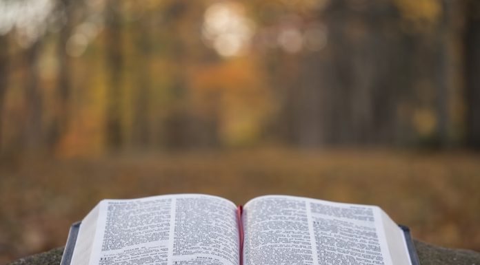 Despre ce este Psalmul 33 din biblie?