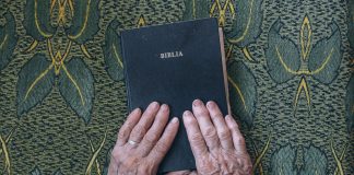 Despre ce este Psalmul 33 din biblie?