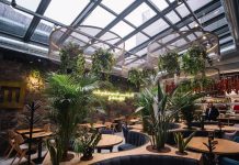 Restaurante Cluj-Napoca: Care sunt cele mai bune?