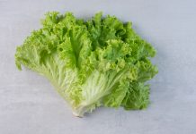 Salata iceberg: Cum se gateste?