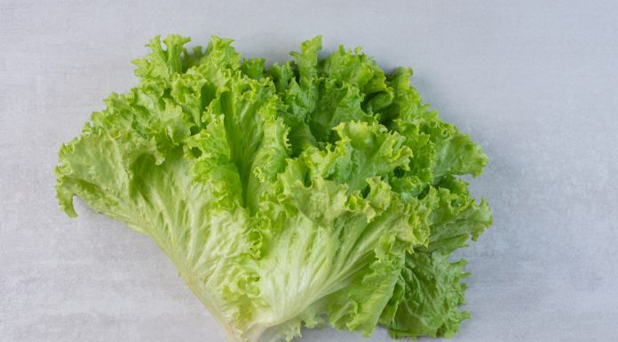 Salata iceberg: Cum se gateste?