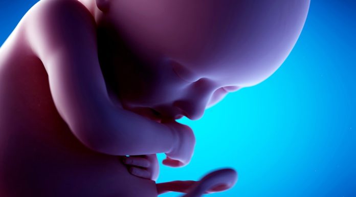 Ce trebuie sa stii despre saptamana 36 de sarcina?