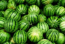 Cand trebuie sa aplici schema de tratamente la pepeni?