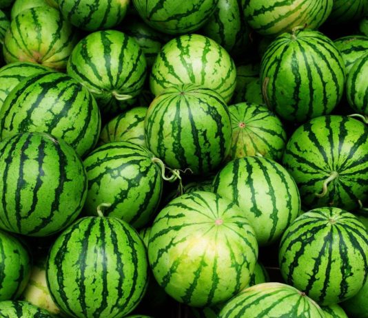 Cand trebuie sa aplici schema de tratamente la pepeni?