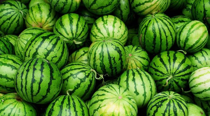 Cand trebuie sa aplici schema de tratamente la pepeni?