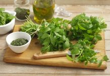 Cand se seamana leusteanul toamna si cum pregatesti terenul?