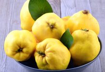 Cand se stropesc gutuii si ce schema de tratament sa aplici?