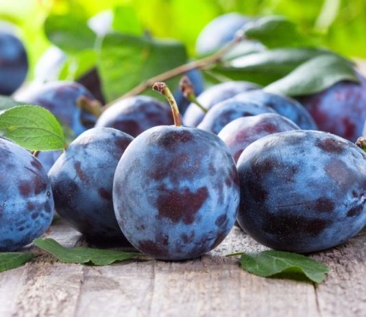 Cand se stropesc prunii si ce produse sa folosesti?