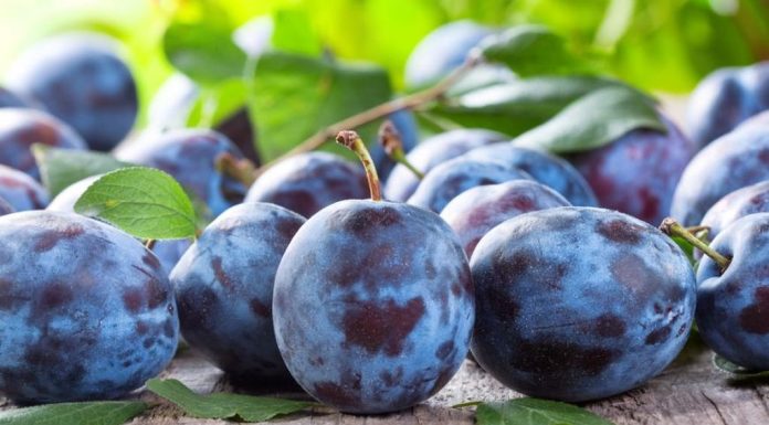 Cand se stropesc prunii si ce produse sa folosesti?