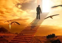 Interpretare vise: Care sunt cele mai comune vise?