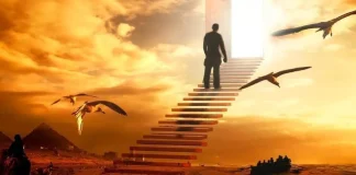 Interpretare vise: Care sunt cele mai comune vise?