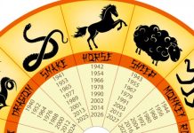 Ce zodie esti in zodiac chinezesc?