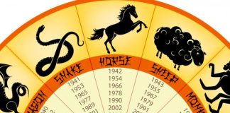 Ce zodie esti in zodiac chinezesc?