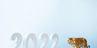 Cum a fost anul chinezesc 2022?