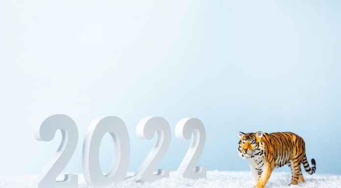 Cum a fost anul chinezesc 2022?