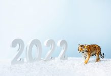 Cum a fost anul chinezesc 2022?