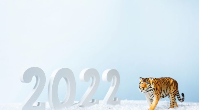 Cum a fost anul chinezesc 2022?