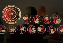 Zodiacul chinezesc: Ce preconizari sunt pentru anul acesta?