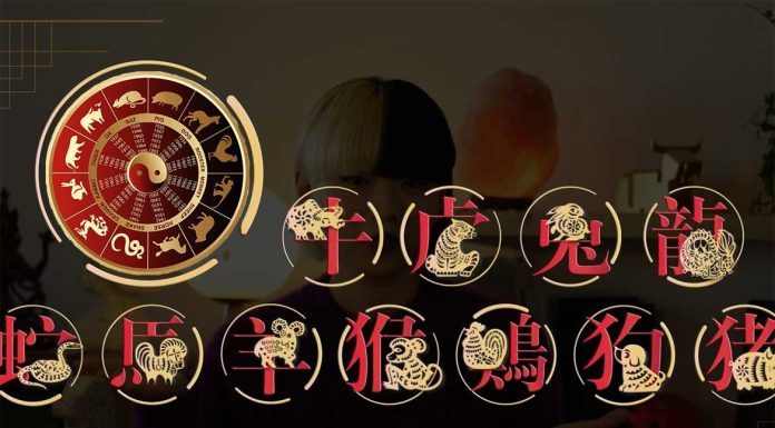 Zodiacul chinezesc: Ce preconizari sunt pentru anul acesta?